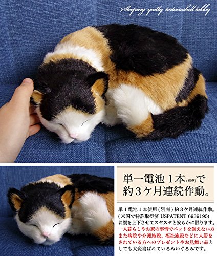 Amazon.co.jp: ニニアンドキノ パーフェクトペット (大サイズ