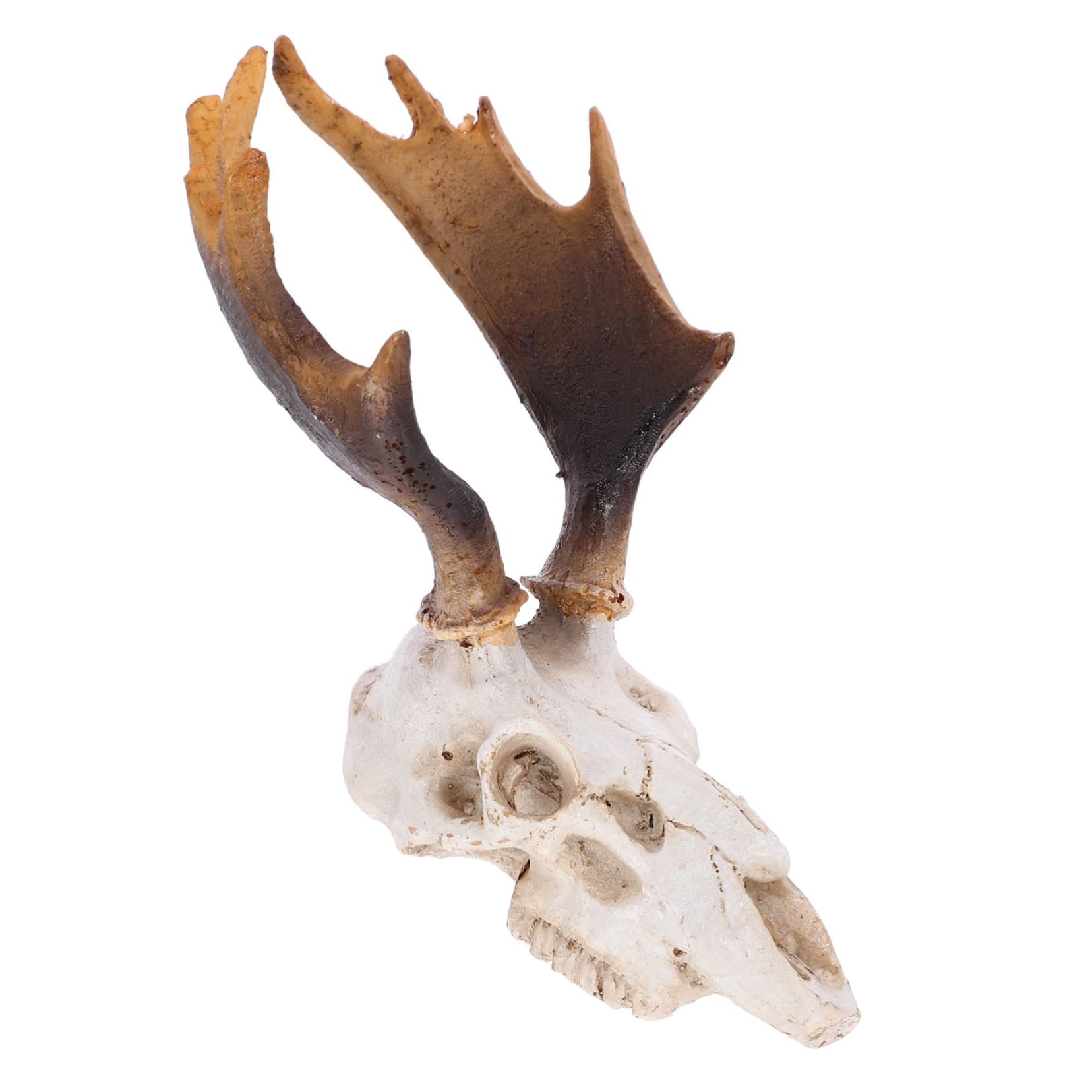 Happyyami Reptile Tank Decor Deer Skull Ornament Durable Hideout for Reptiles Aquariums Compact Design for Habitat Decoration Eye Catching Skull Adornment for Tanks