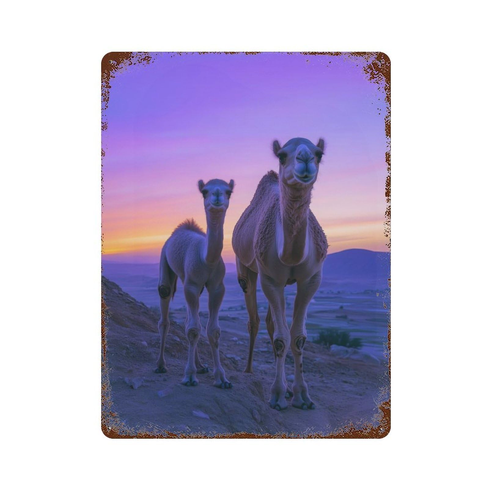 Garage Style Camel Family at Sunset Vintage Metal Tin Sign 15.7"x11.8", Rustic Home Decor for Bar And Workshop