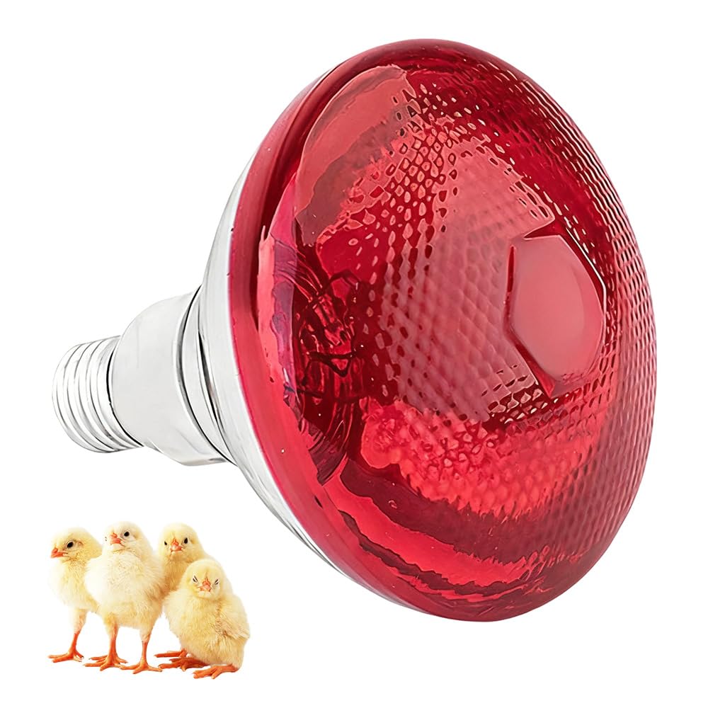Foreverup Bombilla de calor infrarroja, 250 W, bombilla de calefacción para reptiles, lámparas de calor rojas infrarrojas para cachorros, pollitos, gatos, cerdos, luz de calor roja para reptiles