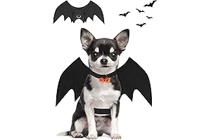 Cute Bat Wings Dog Costume for Halloween