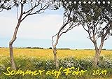 bergenthal baldham  Sommer auf Föhr (Tischkalender 2019 DIN A5 quer): Sommerimpressionen auf der Insel Föhr (Monatskalender, 14 Seiten ) (CALVENDO Natur)