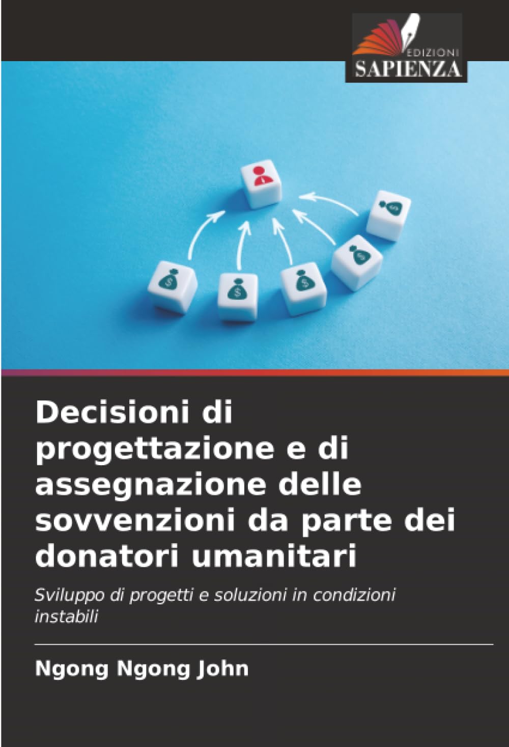 Decisioni di progettazione e di assegnazione delle sovvenzioni da parte dei donatori umanitari: Sviluppo di progetti e soluzioni in condizioni instabili
