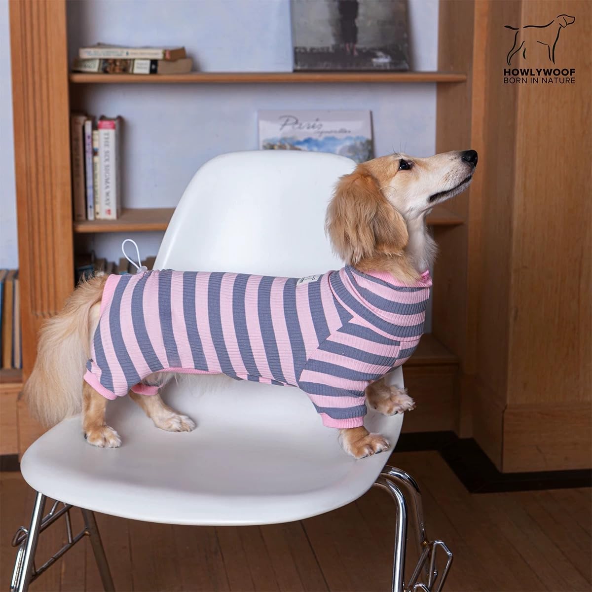 Dackel-Hunde-Shirt, dünn gestreift, Einteiler für Wiener-Hunde, leicht, für alle Jahreszeiten, weiche und bequeme Passform für Doxie- und Kurzbeinrassen, Blau und Gelb, Größe 3 (7,3–9,5 kg))