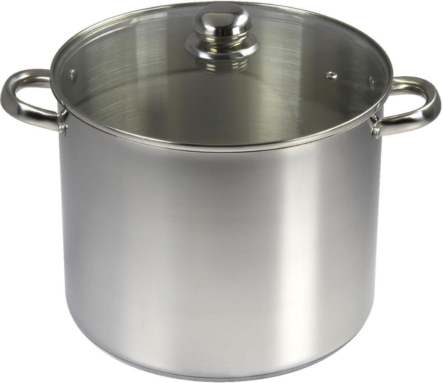 Baumalu 342.655 Pot Catering + Cover 16 L Durchmesser 30 cm | Dreifachboden, alle Herdarten inkl. Induktion, Glasdeckel mit Dampfauslass, Metallgriffe, große Kapazität