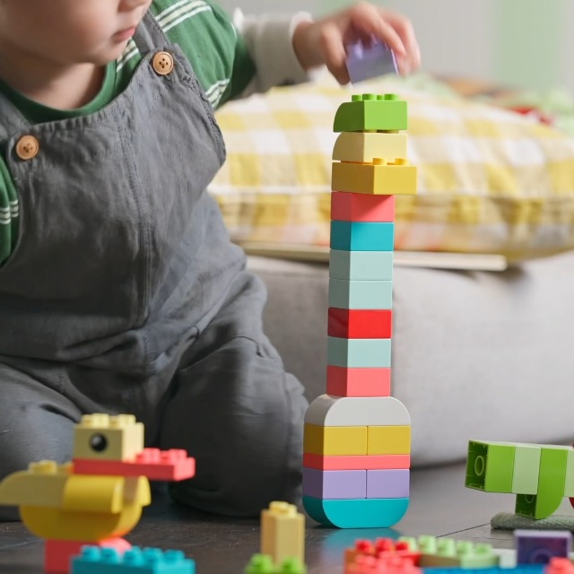 Amazon.co.jp: Lego 10479 Duplo Colorful Container, Toy, Birthday
