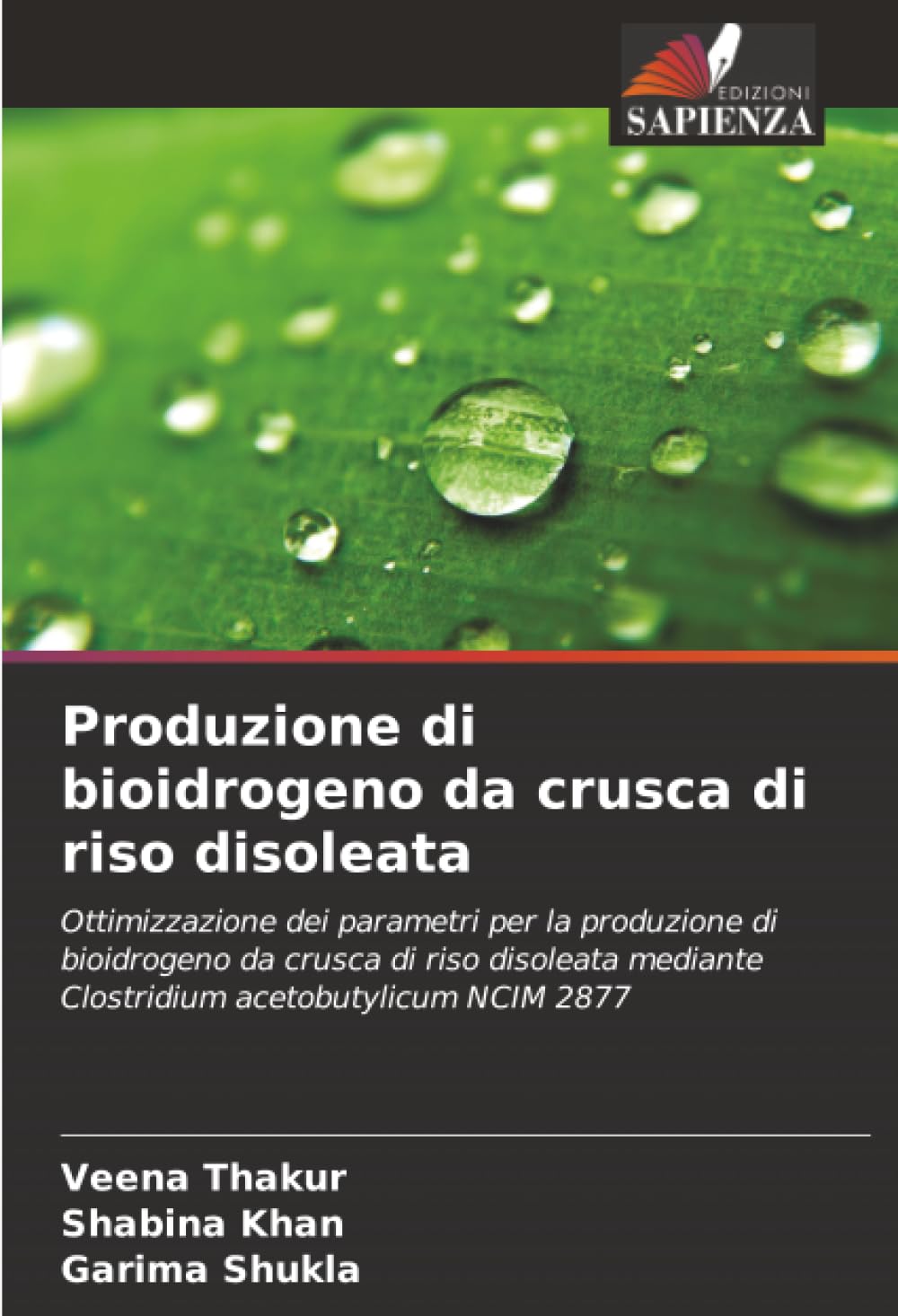 Produzione di bioidrogeno da crusca di riso disoleata: Ottimizzazione dei parametri per la produzione di bioidrogeno da crusca di riso disoleata mediante Clostridium acetobutylicum NCIM 2877