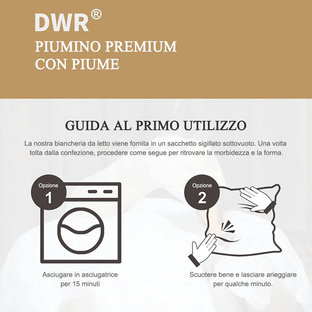 DWR Piuma d'oca e Piumino,Piumino Estivo Letto Matrimoniale - Piumone Leggero 220x240 cm,100% cotone biologico,piumino e piume, Certificato Oeko-Tex e RDS, bianco