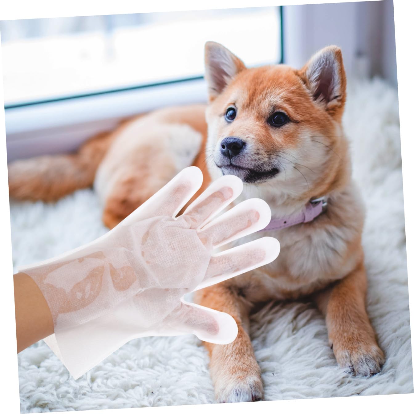 FOMIYES 18 Piezas Guantes toallitas Desechables para Mascotas Guante Cepillo para Gatos toallita para Cachorros toallitas de baño para Gatos el Gato toallitas húmedas limpiando Suministros