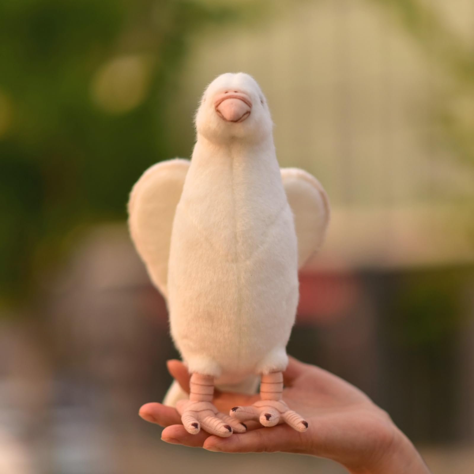 鳩ぬいぐるみ Amazon.co.jp: POPOTATO リアルな白い鳩のぬいぐるみ - 9.4