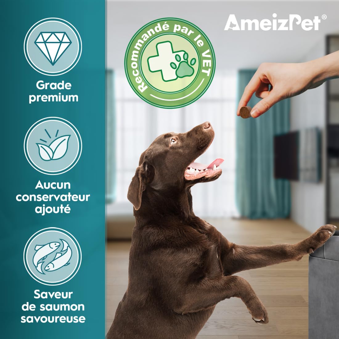 AmeizPet Dog Pré et Probiotiques pour La Santé Intestinale, Biscuits Probiotiques Naturels Chien - Friandises Digestives Probiotique pour La Santé Intestinale du Chien, 30 Friandises