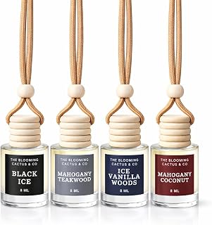4 Pack Air fresheners | Long lasting car air fresheners, Hand-made in USA | Small room diffuser | Small Business Woman Owned. (8 ml Fresh & Earthy Pack Mix)