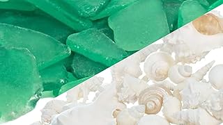 Nautical Crush Trading 11oz Green Tumbled Sea Glass & 1lb White Mixed Seashells Set - Sea Shells Bulk - Seashell Wedding -...