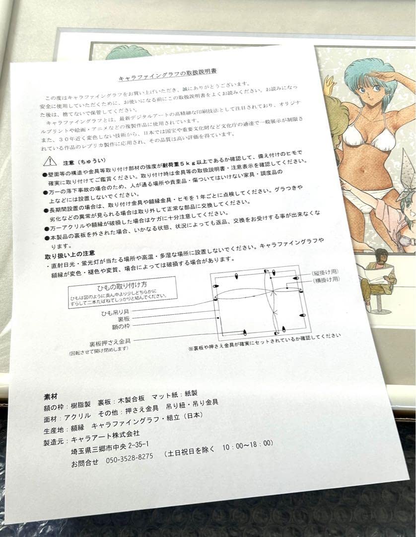 Amazon.co.jp: 受注生産 桂正和 A4キャラファイングラフ 