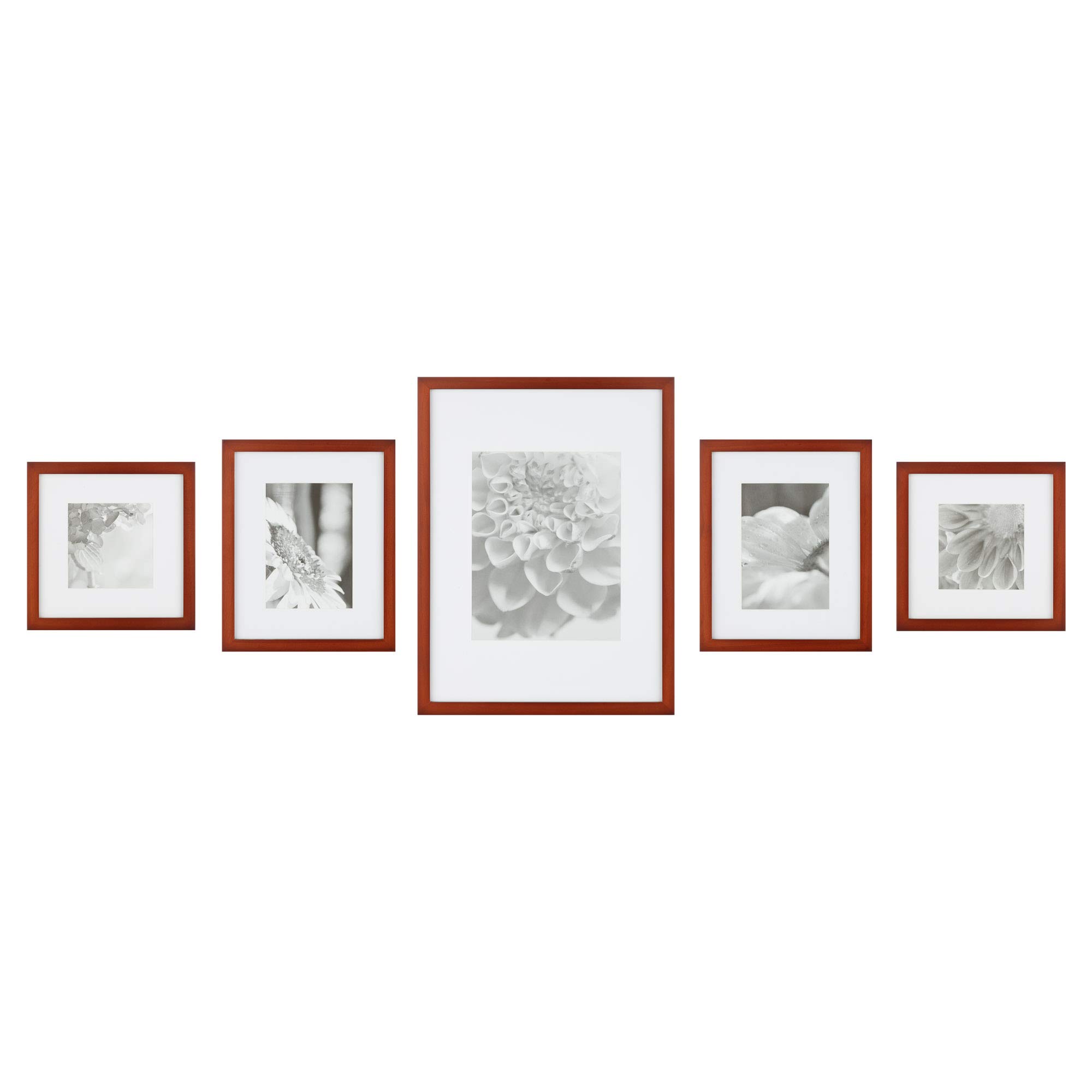 Pinnacle 11FW1442 Walnut 5-Piece Solid Wood Wall Frame Kit