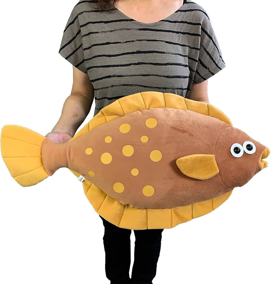 Amazon.co.jp: どっちがどっちか分かるかな カレイとヒラメ ぬいぐるみ Amazon.co.jp: どっちがどっちか分かるかな カレイとヒラメ ぬいぐるみ