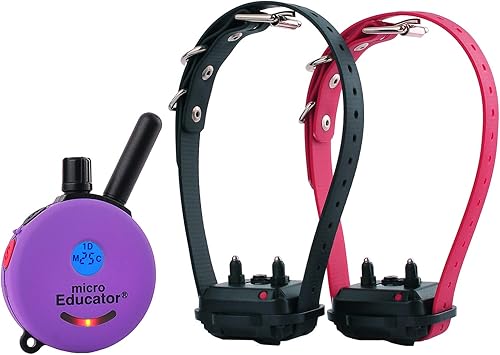Educator E-Collar - Collar de entrenamiento para perros con control remoto, 100 niveles de estimulación de golpeteo seguro, luz nocturna,