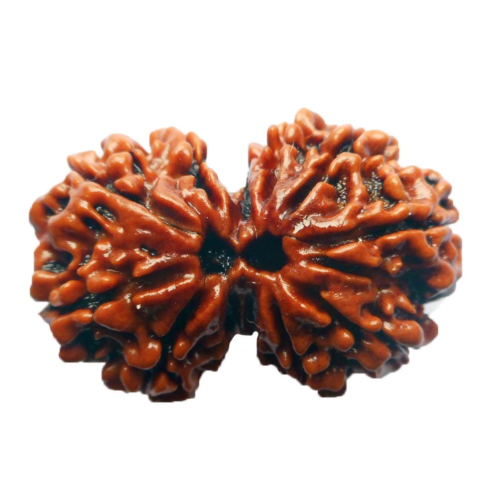 Saubhagya Global Gauri Shankar Rudraksha Lab Certified Siddha in Handmade Tassel, Nepalese Beads, Size 16-22mm, Color-Brown (B0796QGH97) Amazon Price History, Amazon Price Tracker