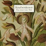breitblättriges knabenkraut kaufen  Certain Fall (Album Version)