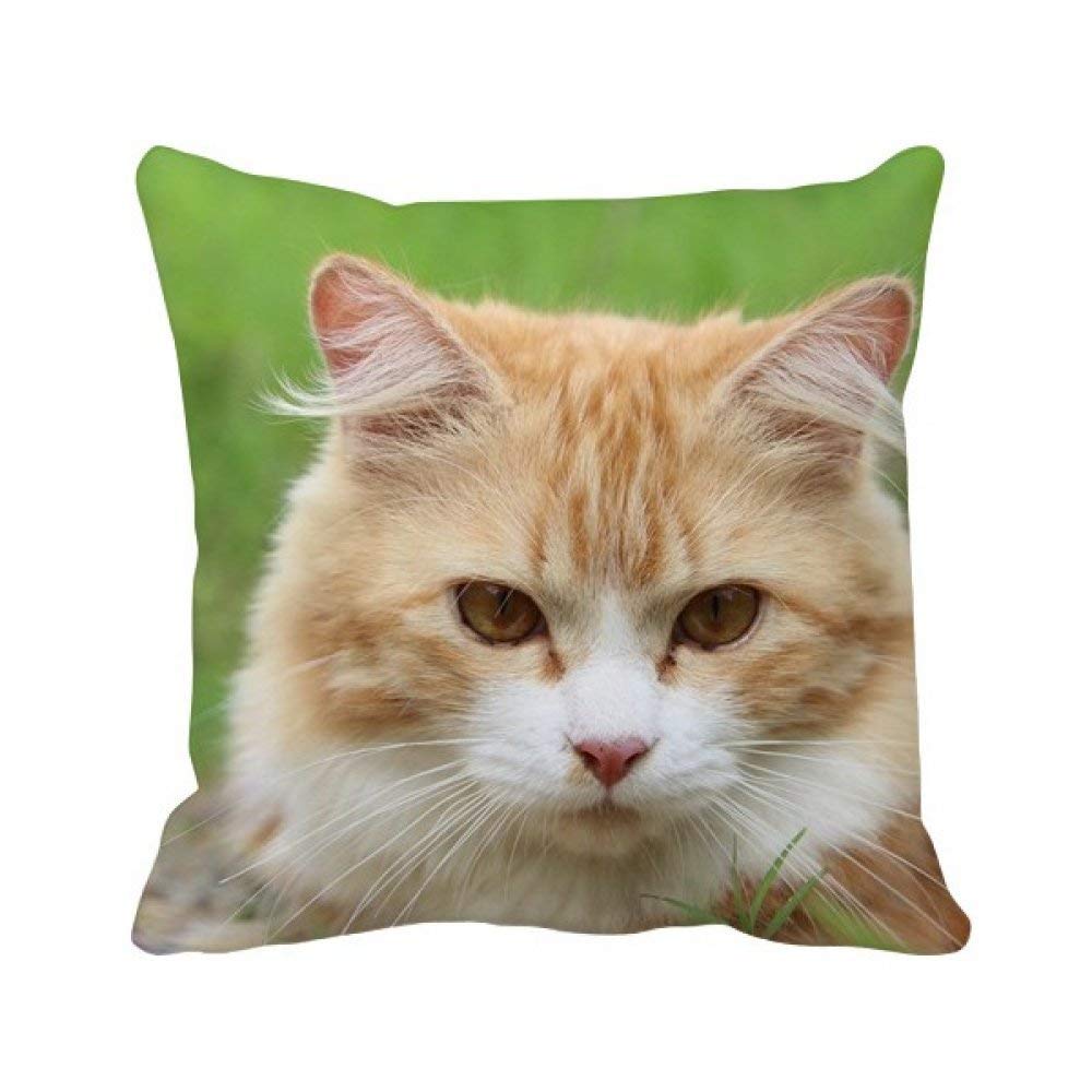 Housse de coussin carrée à rayures jaunes en tissu premium