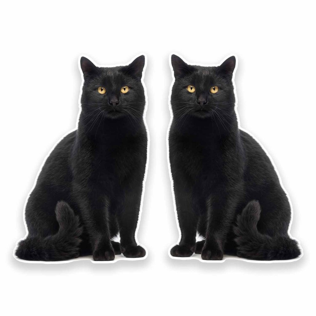 Destinationvinyl Black 2 X 30Cm/300Mm Cat Window Cling Sticker Car Van Campervan Glass #9641