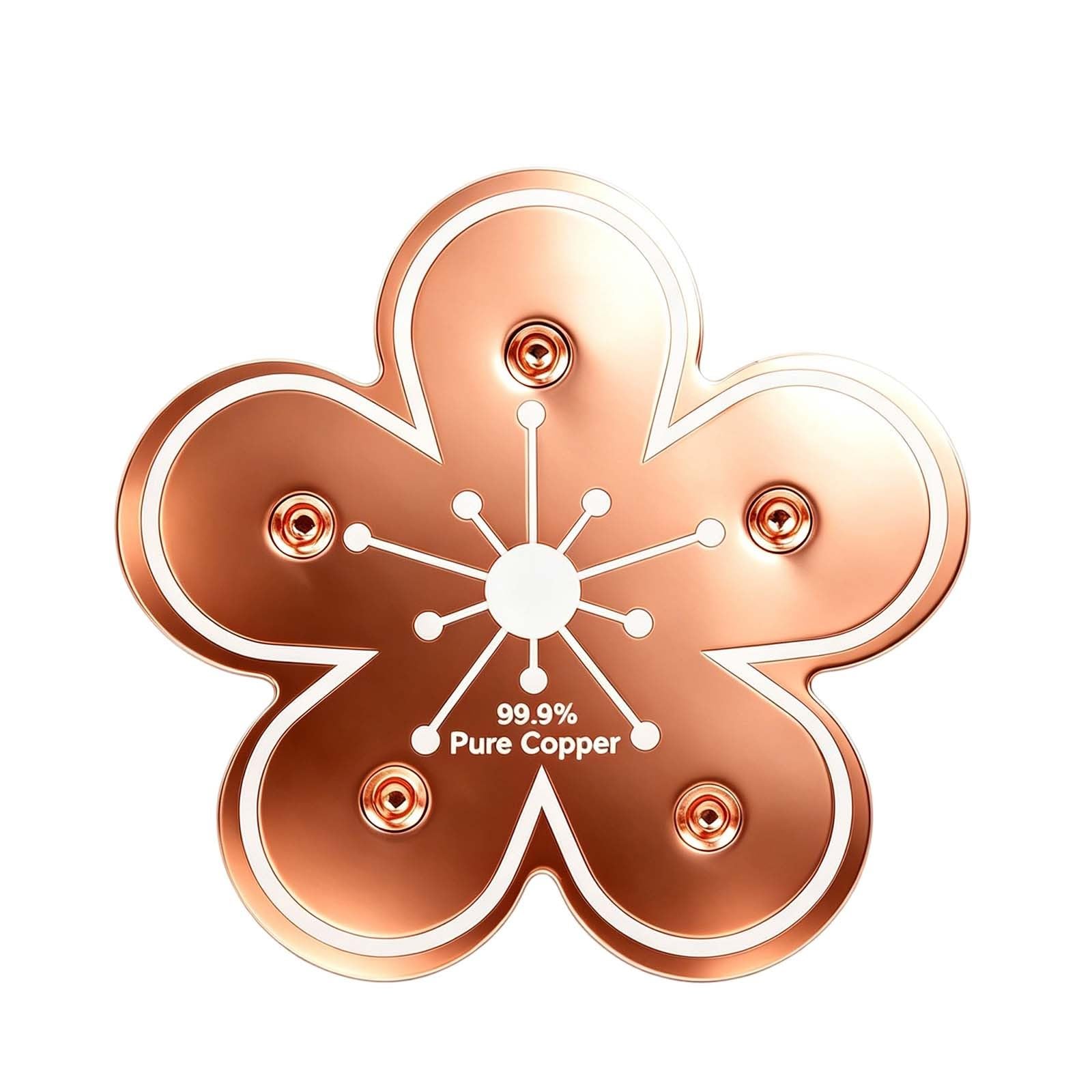 Pure Copper Bird Bath Purification Disc, 99.99% High Purity Cleaning Disc, 0.7mm Thick Four-Point Support, Physical Water Purifier, Weatherproof For Outdoor Birdbaths, Safe For Birds (F) โ image 1