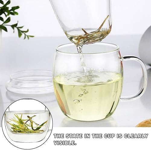 Miniatura 9 de Bunhut Glass Tea Cup with Infuser and Lid,500ml (17oz) Borosilicate Glass Tea Mugs with Infuser and Lid for Loose Leaf Tea,Glass Tea Cups with