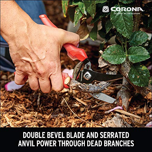 Corona Tools | Comfortgel Anvil Pruning Shears For Gardening | Cuts Dry Branches Up To 3/4-Inch In Diameter | Ap 3334 #TOP1