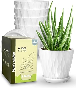 6 Inch Indoor Planter Pots with Drainage Hole and Tray Saucer,Flower Pots for Indoor Outdoor Garden Plants and Flowers, Multicolor, 5 Packs White