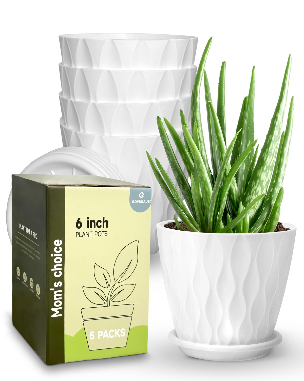 Goproauto Plastic Amaryllis Pot Set