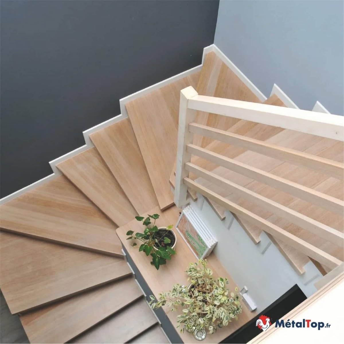 Metaltop - Peinture Murale Interieur - Vert mousse - RAL 6005-5 L - Haute couvrance pour murs en plâtre, placo et béton, rénovation rapide.