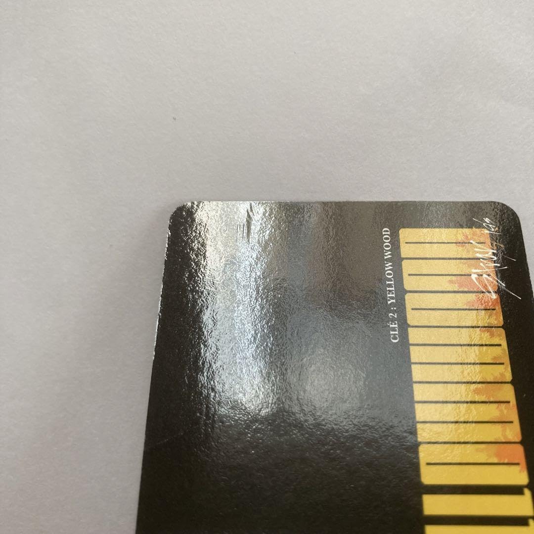 Amazon.co.jp: straykids スキズ yw levanter ハン トレカ : おもちゃ