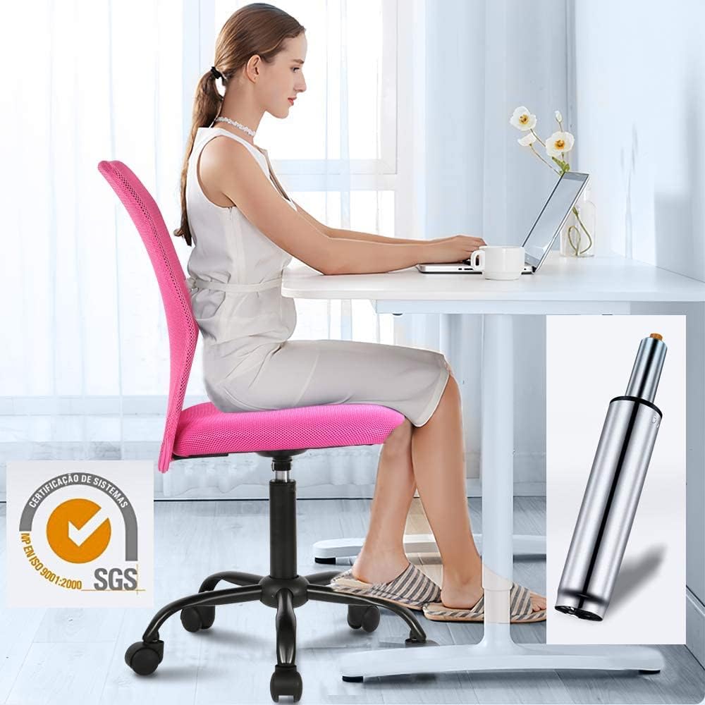 BLKMTY Home Office Chair, No Arms Small Desk Chairs, Mid Back Mesh Basic Computer Chairs Height Adjustable Small Swivel Office Chair No Armrest Rolling Swivel for Students, Pink