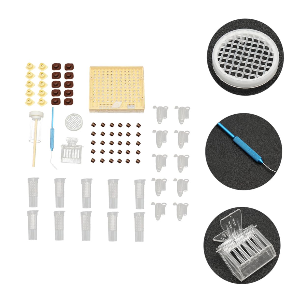 Hemobllo Kit De Herramientas De Apicultura Herramienta Para Abejas Reinas Caja De Alimentación Ligera y Resistente