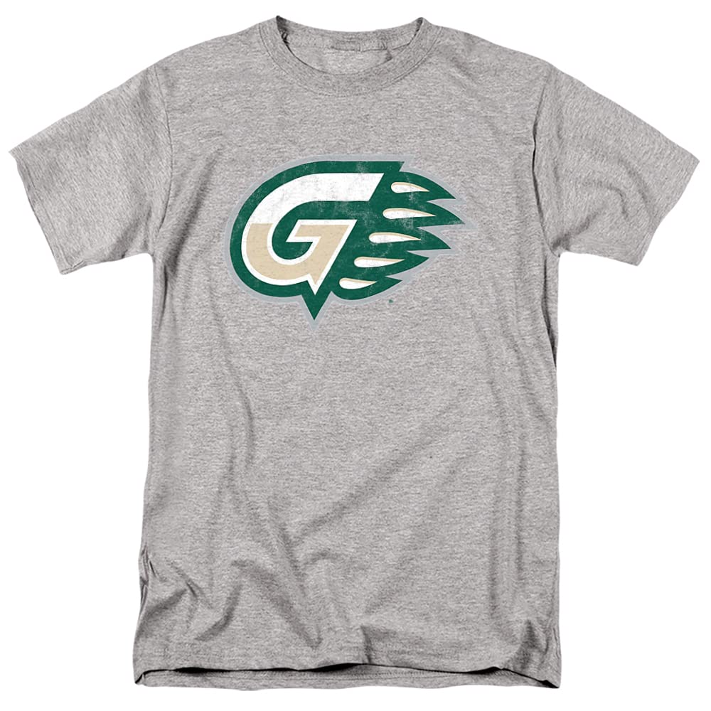 LOGOVISION Official Collegiate Distressed Primary Logo Adult T-Shirt Collection — view 274
