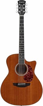 Orangewood Rey Cutaway Style Acoustic Guitar with Mahogany Top