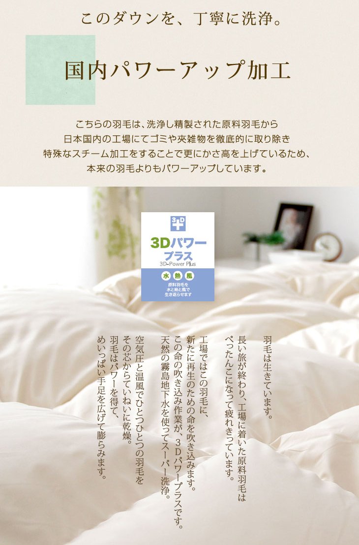 Amazon｜タンスのゲン 【2枚組】 洗えるダウンケット ホワイトダック