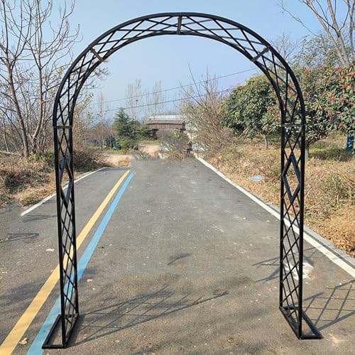 S K[fA[` pA[` A𔇂킹t[ŔԂo - p[eB[ɍœKȑϋv̂fUC