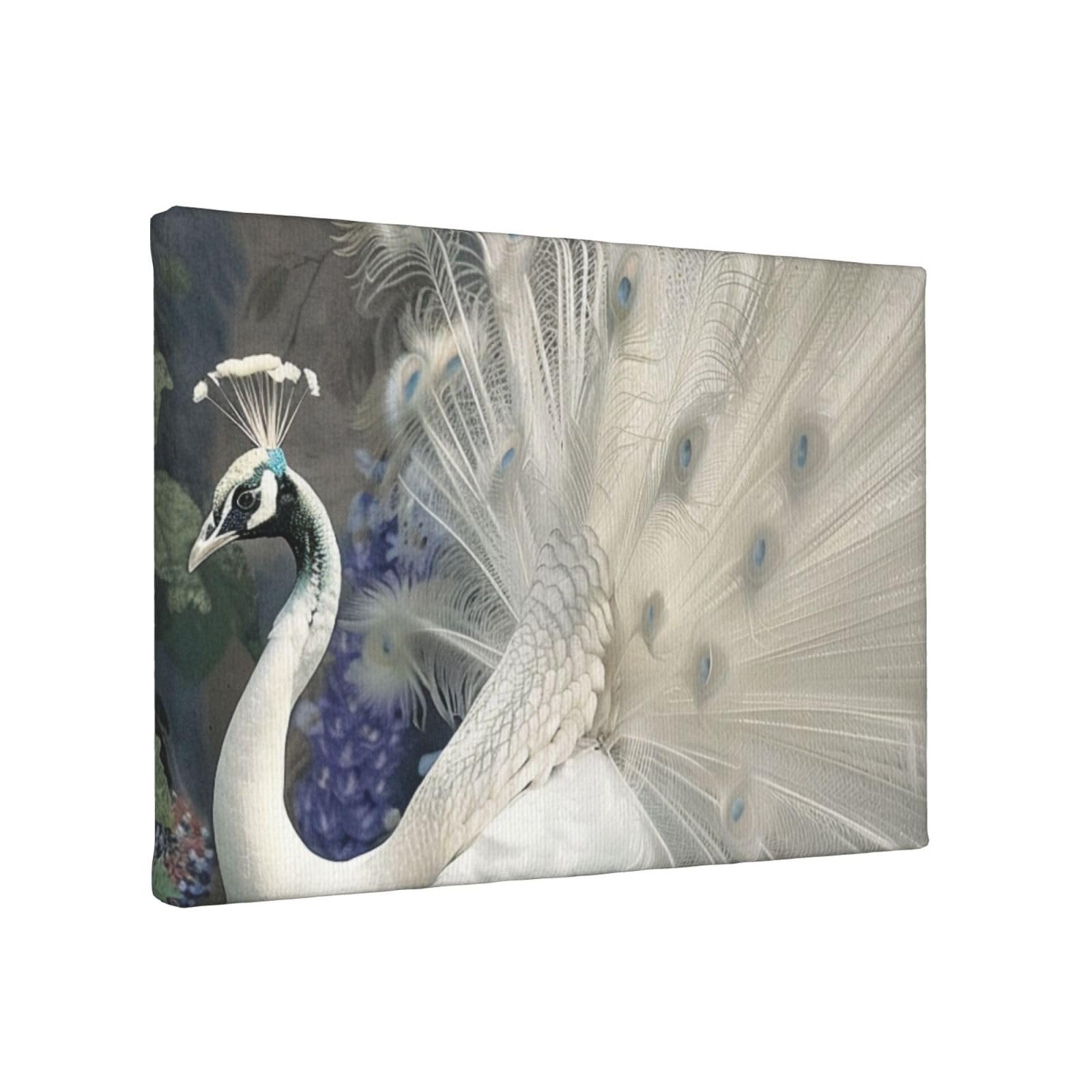 YKLJG White Peacock Printed Wall Art Canvas Painting 30x20 CM Wooden Framed Picture Painting Artwork Prints for Bedroom Kitchen Home Office Decor