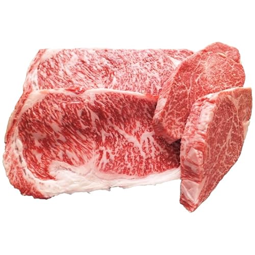 山形牛ヒレ･ロースステーキセット (2種) 500g 牛肉 肉 山形県 山形市 食品 ステーキ ヒレ ロース 高橋畜産 FZ18-480