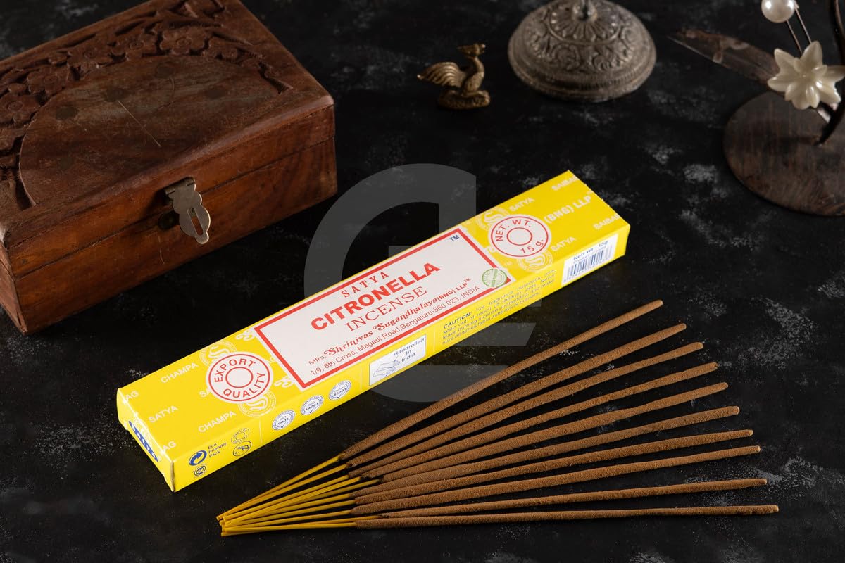 View 2