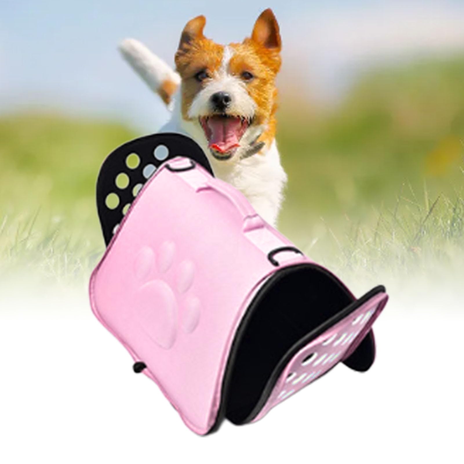 Trasportino per Animali Domestici, Borsa da Viaggio a Tracolla Morbida Traspirante in EVA Pieghevole Leggera con Tracolla, Ampio Spazio per Cani e Gatti (L Massimo 7,5 kg)