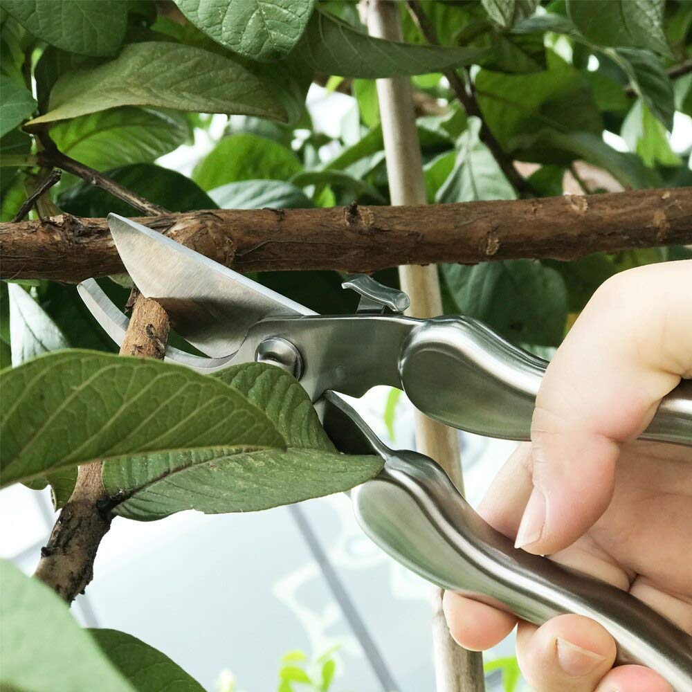 Astschneider, Heckenschere, Cutter, Beschneiden, Handschere, Pflanzenschneider, Gartenschere, Edelstahl-Werkzeuge, Gartenarbeit, Obstschere, Schneiden von Ästen, Gartenschere, Gartenarbeit, Garten od