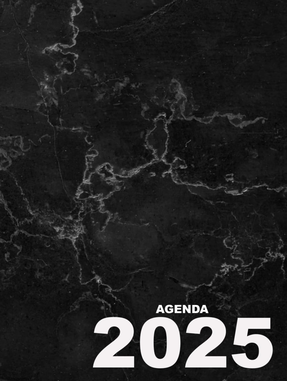 Agenda 2025: día por página grande diaria A4 - Español - 12 meses con hora .