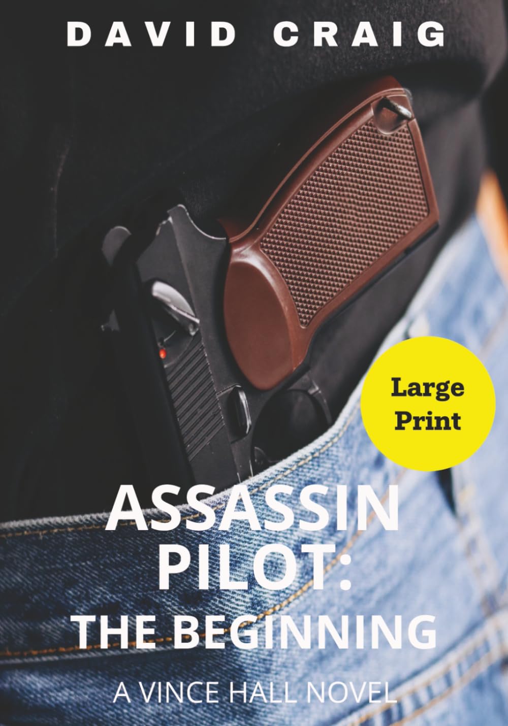 Assassin Pilot: The Beginning - Large Print Edition