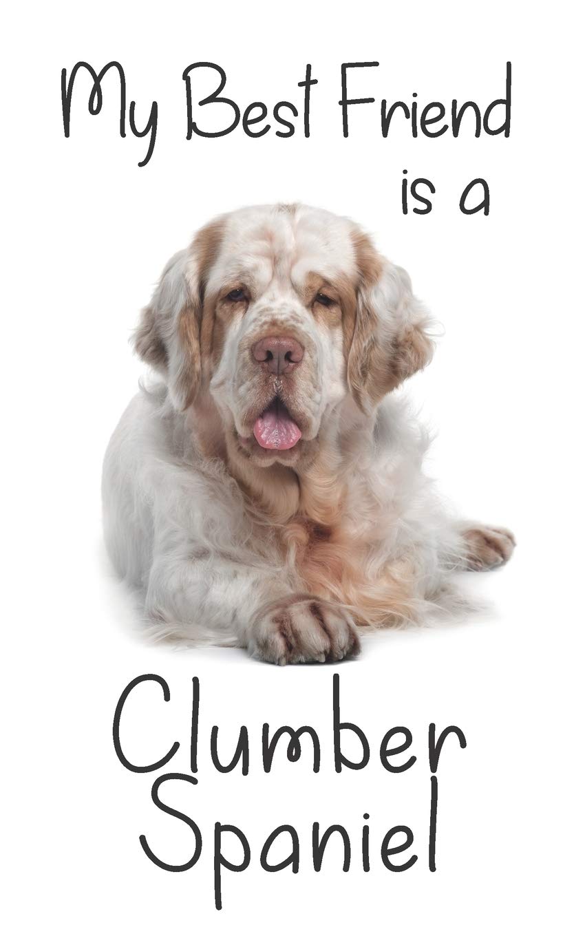 My best Friend is a Clumber Spaniel: 8” x 5” Blank lined Journal Notebook 120 College Ruled Pages