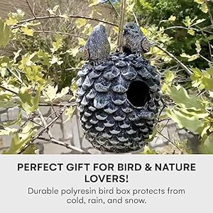 Dawhud Direct Hanging Bird Houses for Outside Hand Painted Bird Houses for Outdoors Decorative Birdhouses Pinecone Solid Made for Bluebirds Sparrows Chickadees and Purple Martins