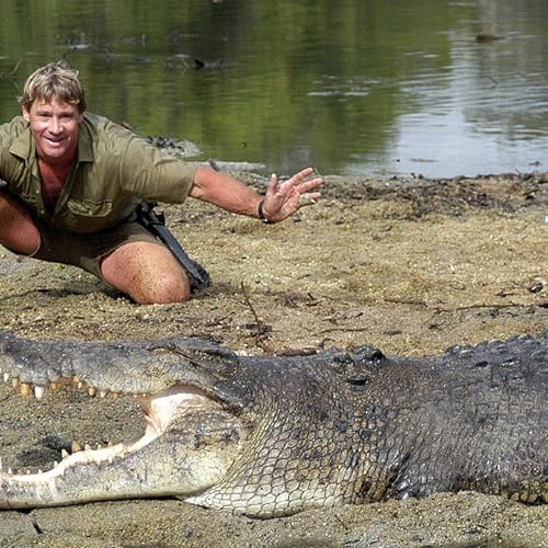 QLD government criticised over relocation of iconic crocodile