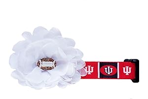 Indiana Hoosier Dog Collar