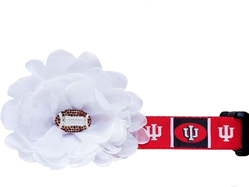 Indiana Hoosier Dog Collar